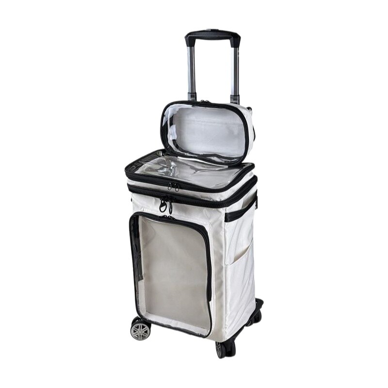 Travel Packing Cube - Harajuku Style Cartoon Transparent Luggage 20